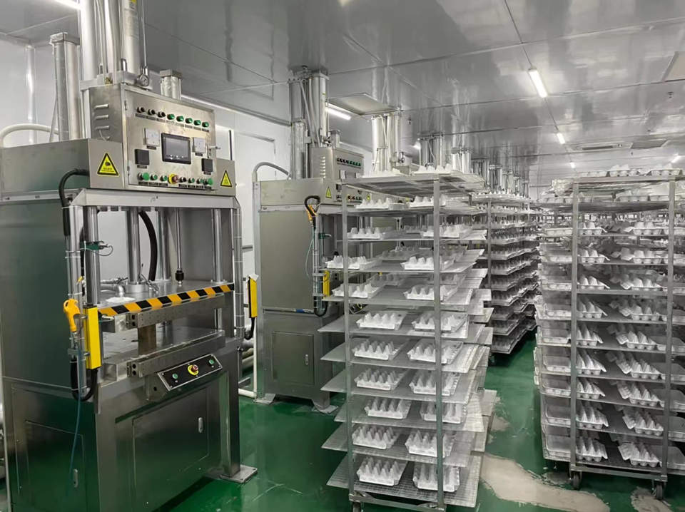 深圳湿压纸托生产工艺和特点介绍